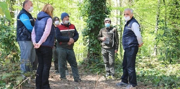 Soğucak Ormanlarında Denetim