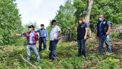 Sapanca Kayın Doğal Gençleştirme Sahalarında Teknik İnceleme Yapıldı