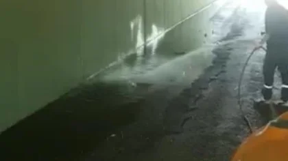 Belediyeden Larva İlaçlaması