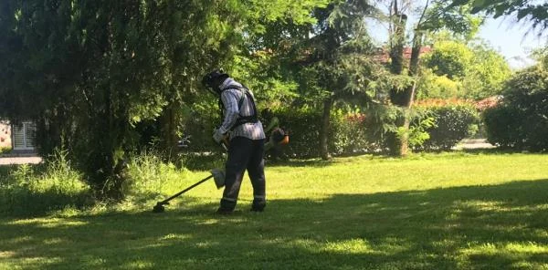 Budama ve İlaçlama Çalışmaları Sürüyor