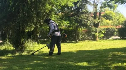 Budama ve İlaçlama Çalışmaları Sürüyor