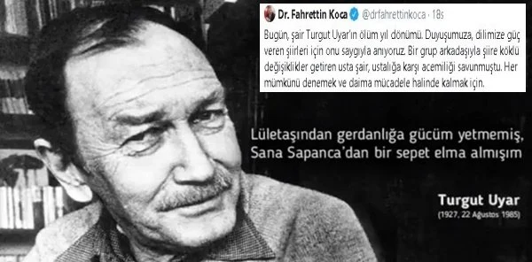 Sana Sapanca'dan Bir Sepet Elma Almışım