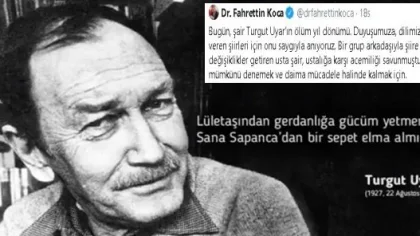 Sana Sapanca'dan Bir Sepet Elma Almışım