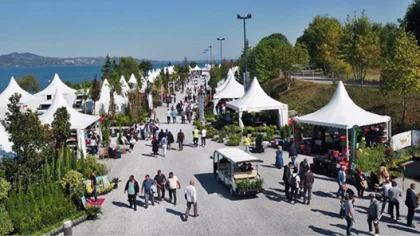 Sapanca Peyzaj ve Süs Bitkiciliği Festivali için Hazırlıklar Devam Ediyor