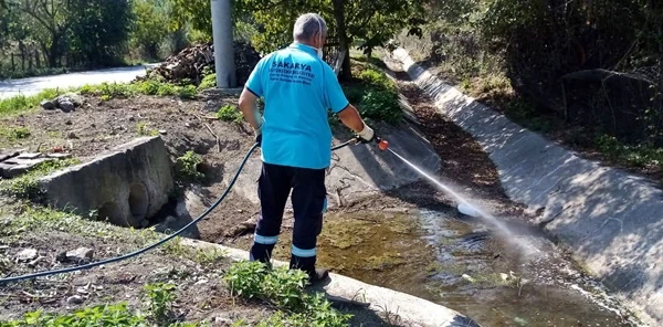 Asya Kaplanına Karşı Mücadele Tamamlandı