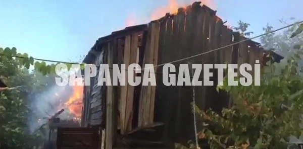 Sapanca'da Korkutan Yangın