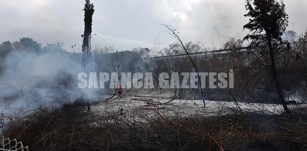Sapanca'da Korkutan Yangın