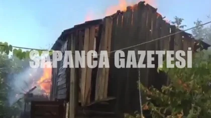 Sapanca'da Korkutan Yangın