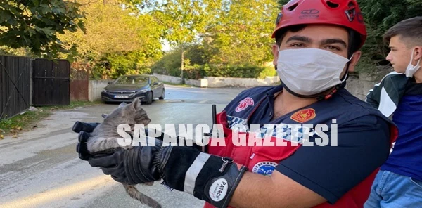 Boruya Sıkışan Kediyi İtfaiye Kurtardı