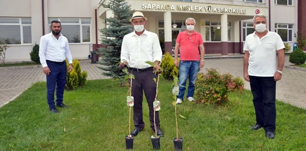 Sapanca Myo'da Kivi Üretim Sahası Kurulacak