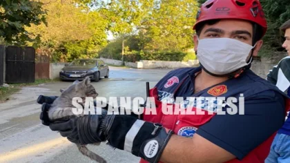 Boruya Sıkışan Kediyi İtfaiye Kurtardı
