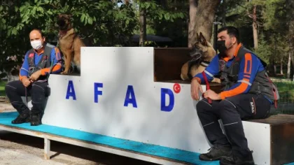 Kahraman Köpekler Sapanca'da Eğitiliyor