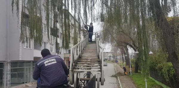 Sapanca'da Mevsimsel Bakım
