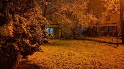 Sapanca'da Beklenen Kar Yağışı Başladı
