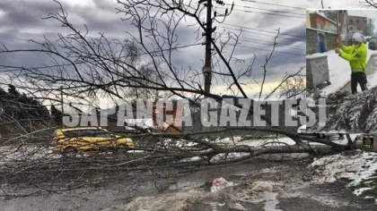 Sapanca'da Şiddetli Rüzgar Etkili Oluyor