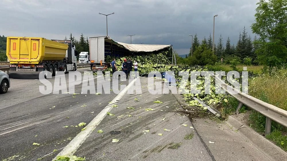 Otoyol Marul Tarlasına Döndü