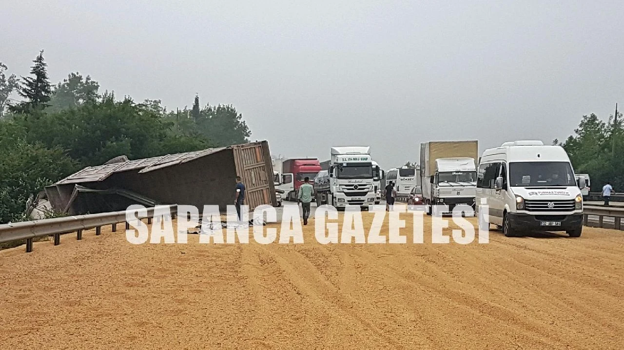 Tır Devrildi Yol Soya Fasulyesi ile Kaplandı