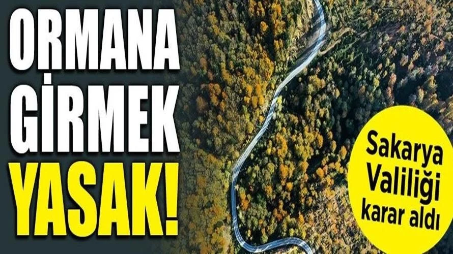 Sakarya'da Ormanlara Giriş Çıkışlar Yasaklandı!