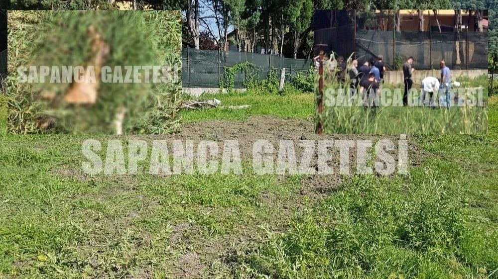 Sapanca'da 2 Kişinin Cesedi Bulundu