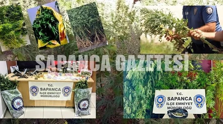 Sapanca'da Uyuşturucu Operasyonları
