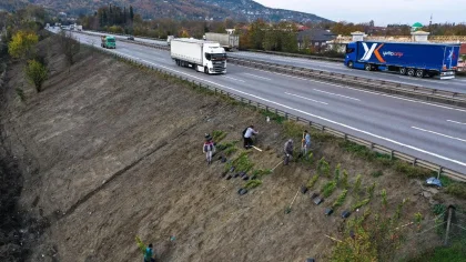 Sapanca'da Ses Perdesi Projesine Başlandı