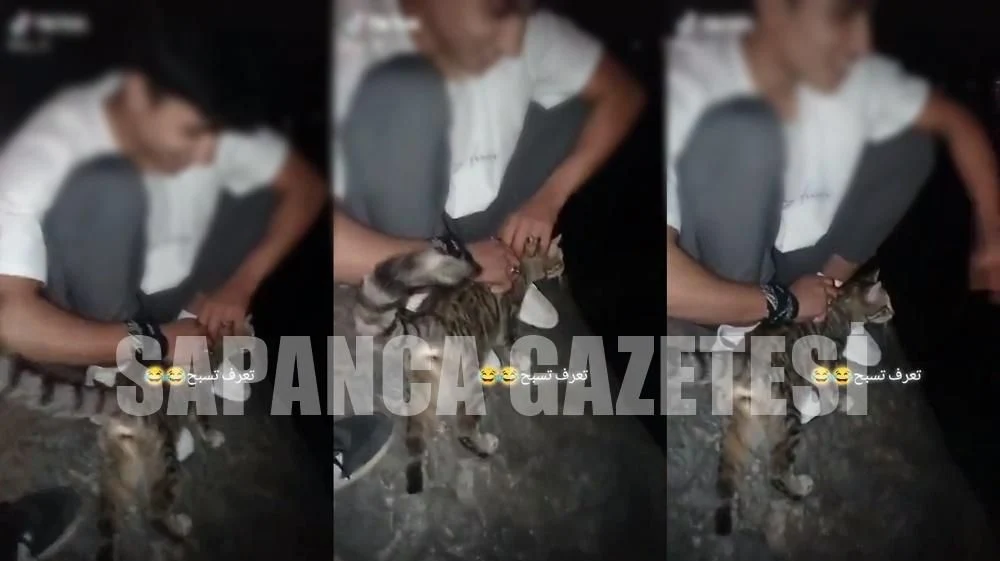 Kediyi Göle Atan 2 Iraklı Çocuk Yakalandı