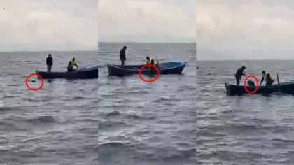 Gölün Ortasındaki Köpeği Kurtardılar