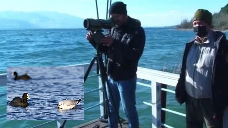 Sapanca Gölünde Kuş Sayımı Yapılıyor