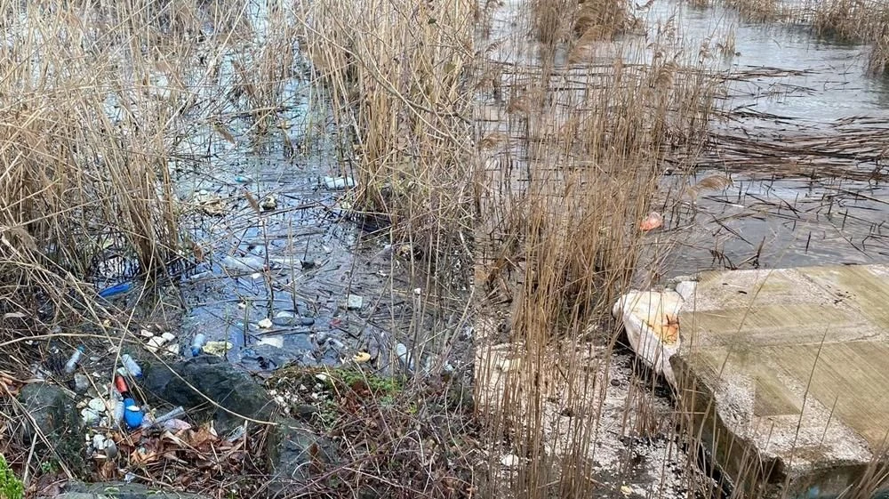 Sapanca Gölüne Yakışmayan Görüntüler