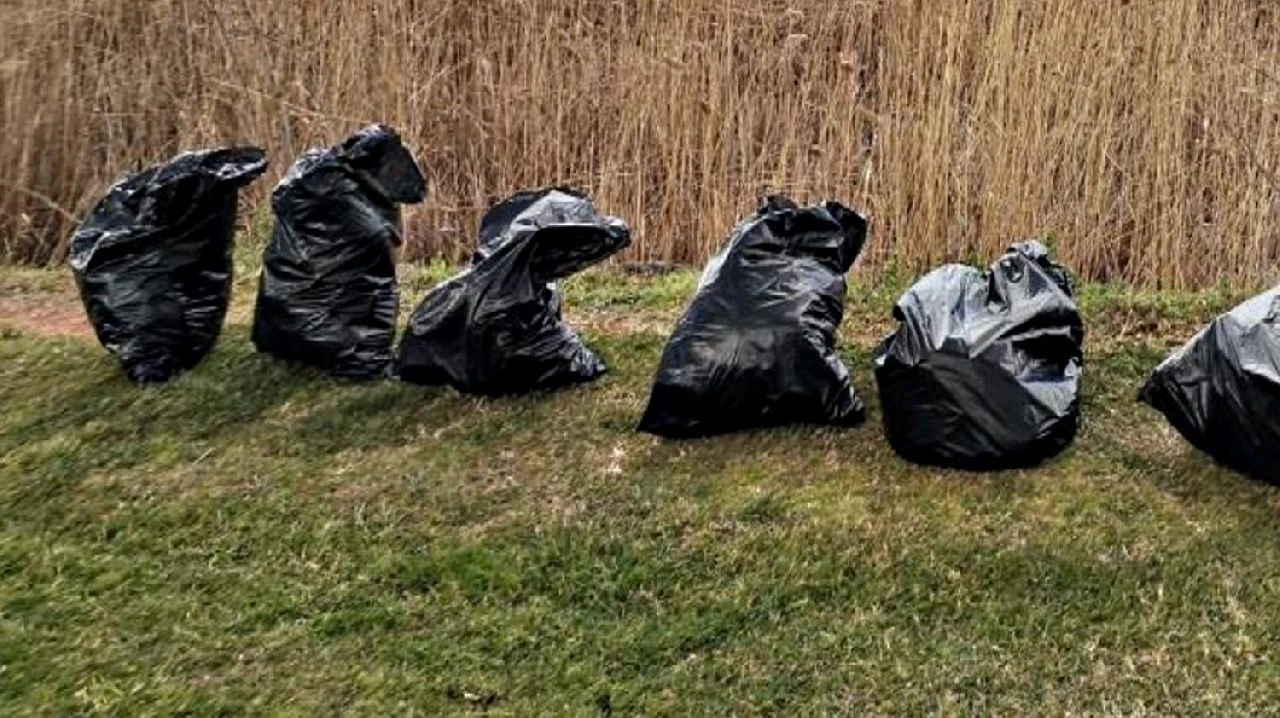 SASKİ'den Sapanca Gölü'nde Temizlik Çalışması