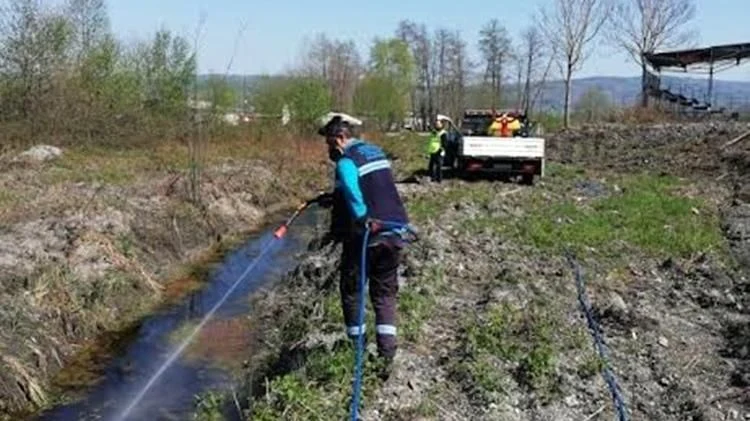 Sapanca'da Larva İlaçlama Çalışmasına Başlandı