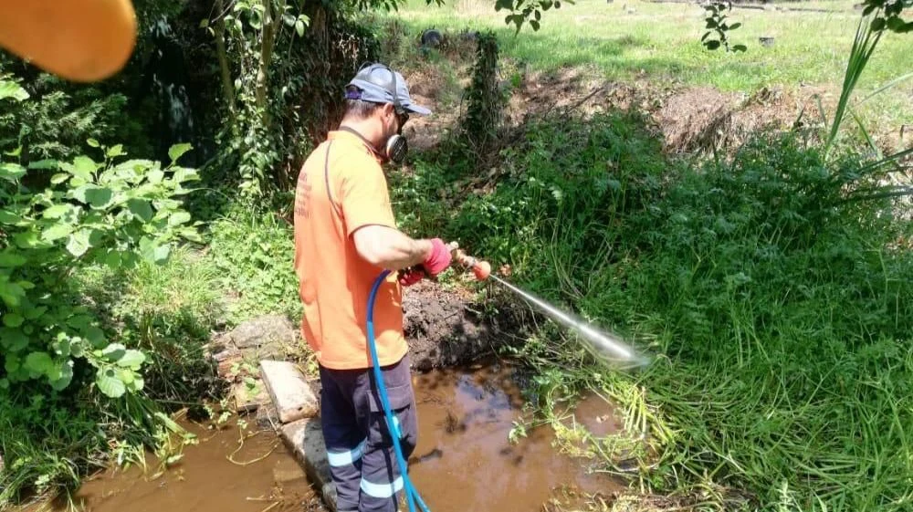 Sapanca'da İlaçlama Çalışmalarına Hız Verildi