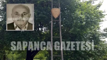 Erik Toplamak için Çıktığı Ağaçtan Düştü