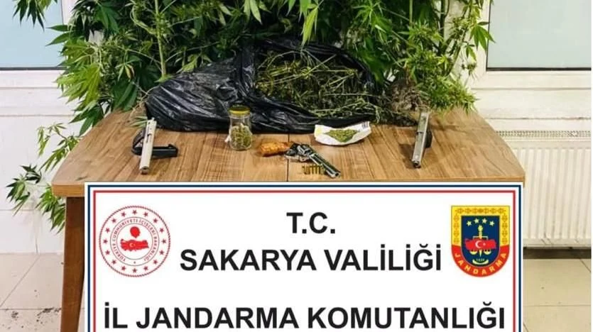 Sapanca'da Jandarmadan Uyuşturucu Operasyonu