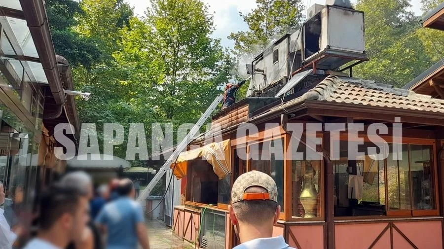 Sapanca'da Korkutan Yangın