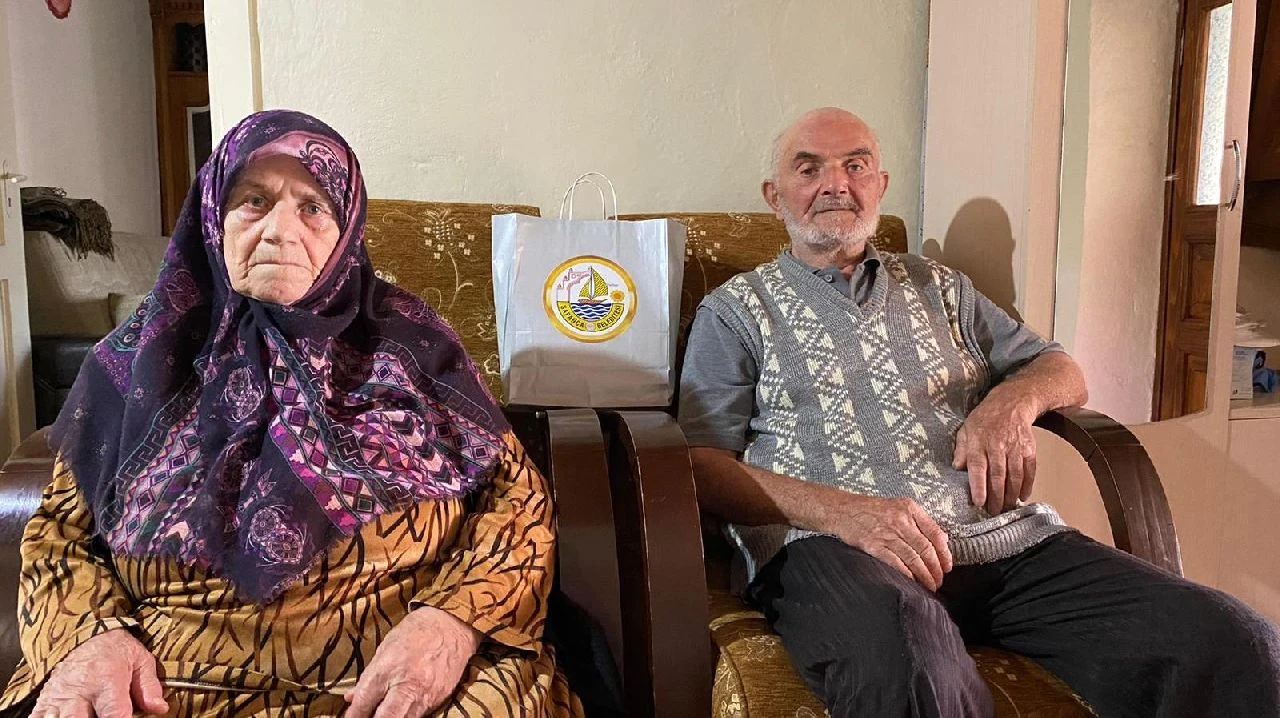Sapanca'da İlçenin Çınarlarına Ziyaretler Devam Ediyor