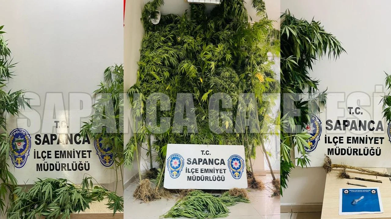 Sapanca Polisinden Uyuşturucu Operasyonları