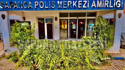 Sapanca'da Kenevir Operasyonu