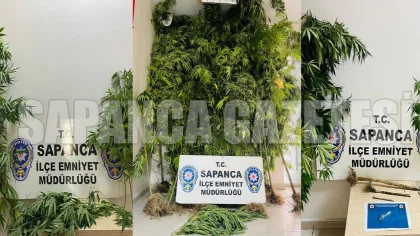 Sapanca Polisinden Uyuşturucu Operasyonları