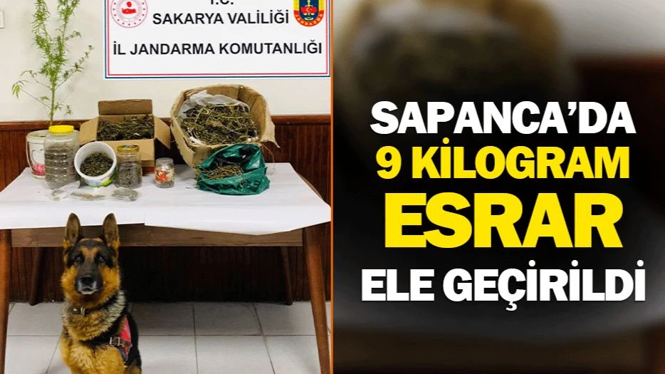 Sapanca'da 9 Kilo Esrar Ele Geçirildi