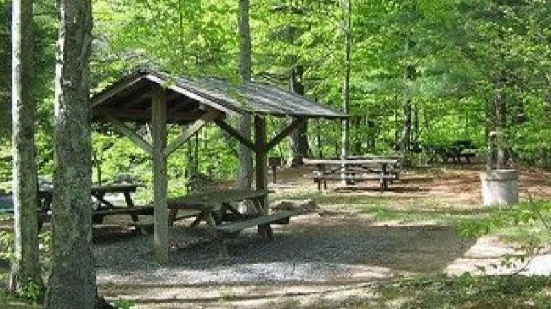 Sapanca'daki O Orman Parkı İhaleyle Kiralanacak