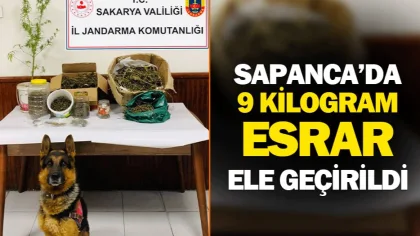 Sapanca'da 9 Kilo Esrar Ele Geçirildi
