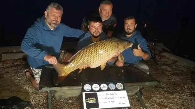 Sapanca Gölü'ndeki 16 Kiloluk Sazan 90 Bin Tl Kazandırdı