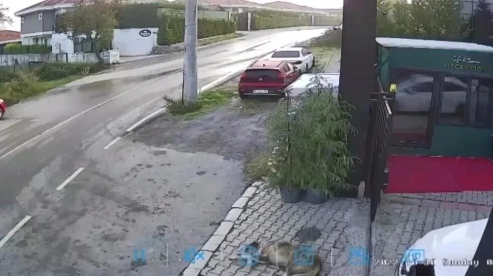Sosyal Medya Sapanca'da ki Görüntüleri Konuşuyor