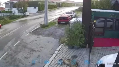 Sosyal Medya Sapanca'da ki Görüntüleri Konuşuyor