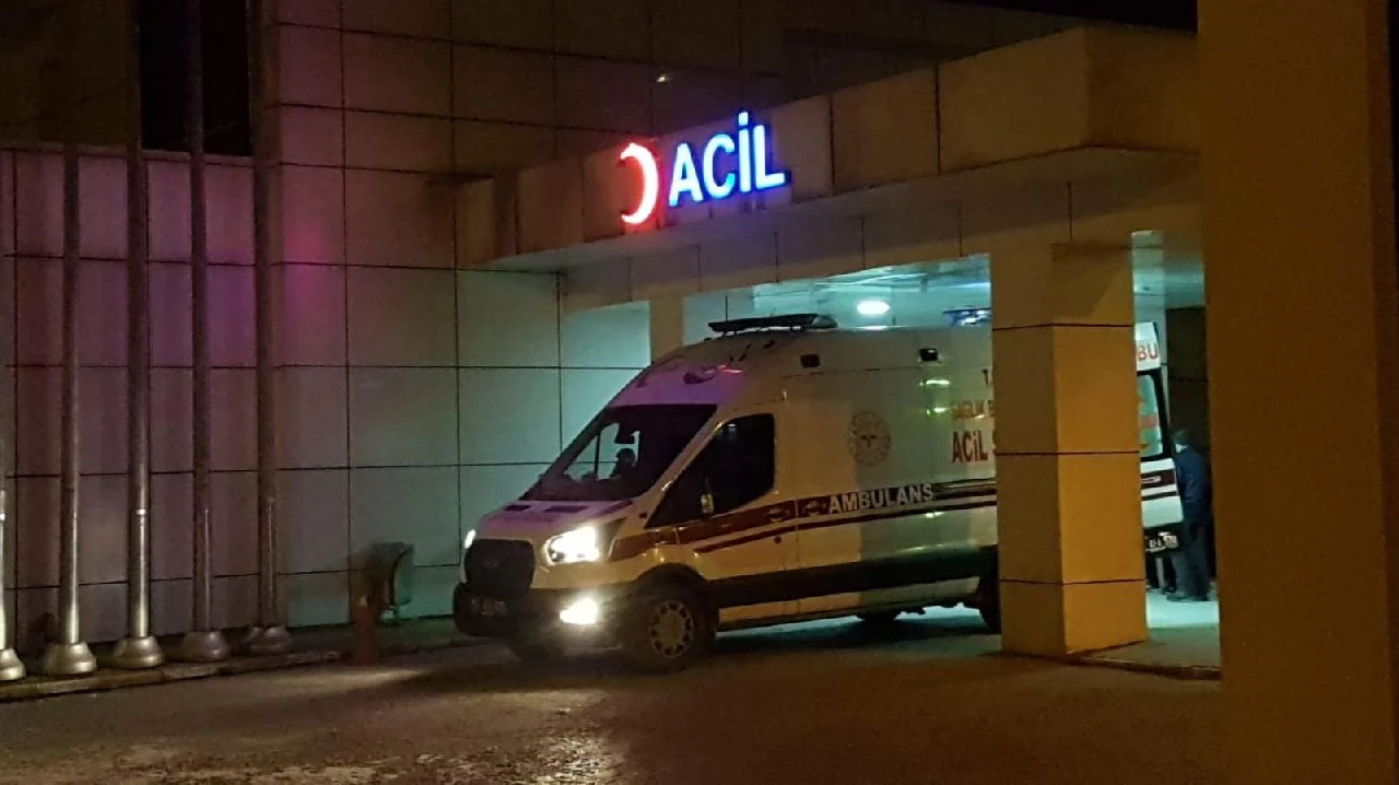 Sapanca'daki Bahçesinde Gezerken Bacağından Vuruldu