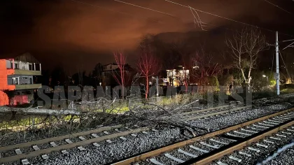 Sapanca'da Kırılan Ağaç Demiryolu Hattını Ulaşıma Kapattı