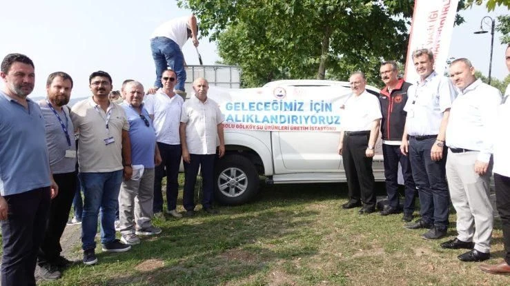 Sapanca Gölü'ne 399 Bin Yavru Sazan Balığı Bırakıldı