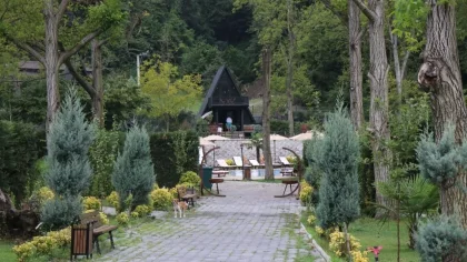 Sapanca'daki Bungalovlar, Bungalovcuları Bile Bıktırdı!