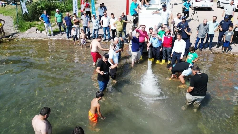 Sapanca Gölü'ne 100 Bin Balık Salındı